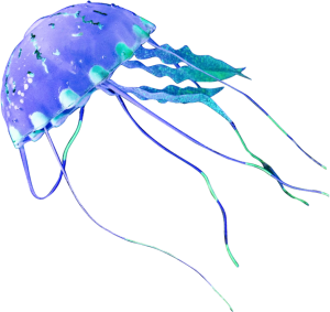 Jellyfish PNG-47082